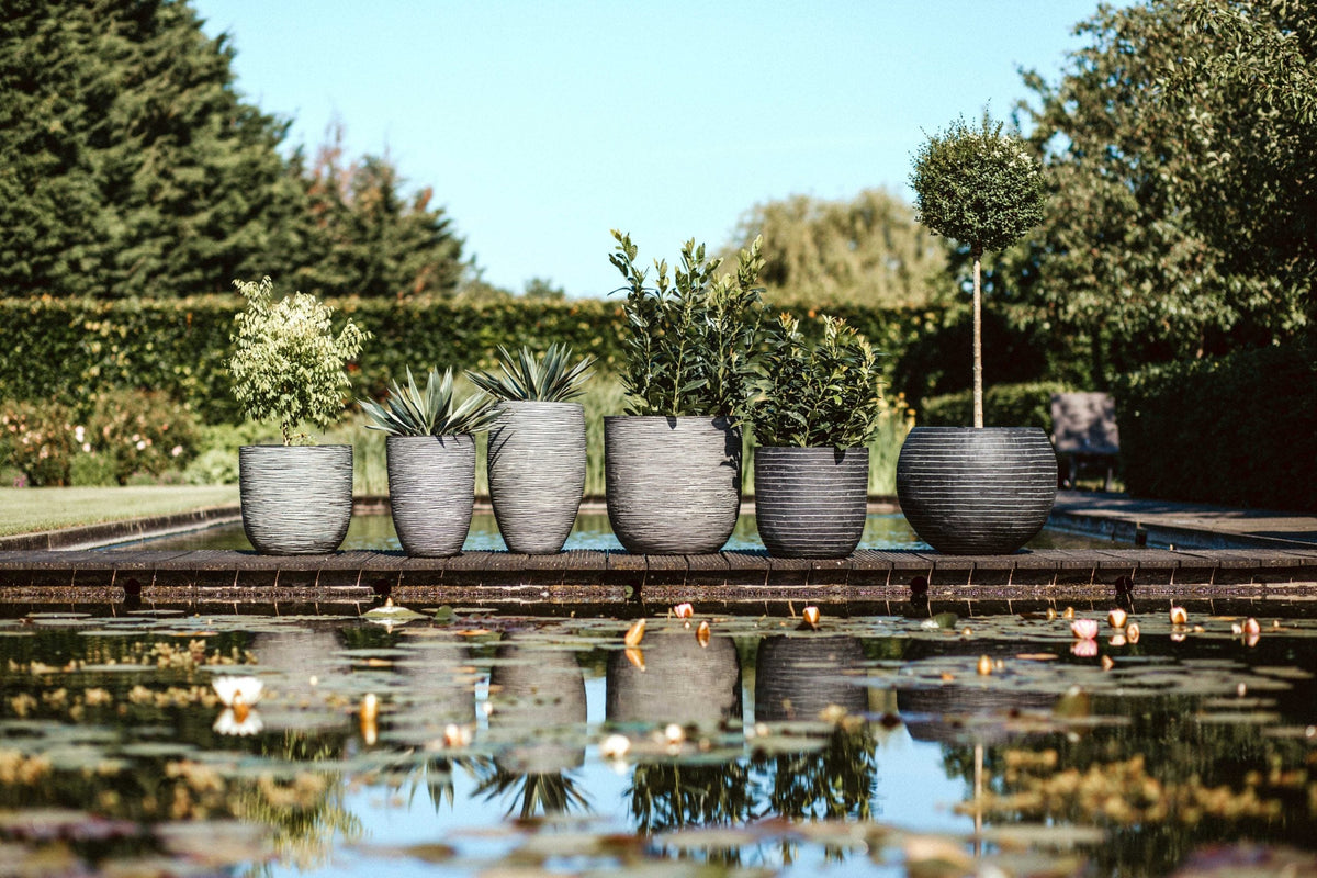 Capi Pots