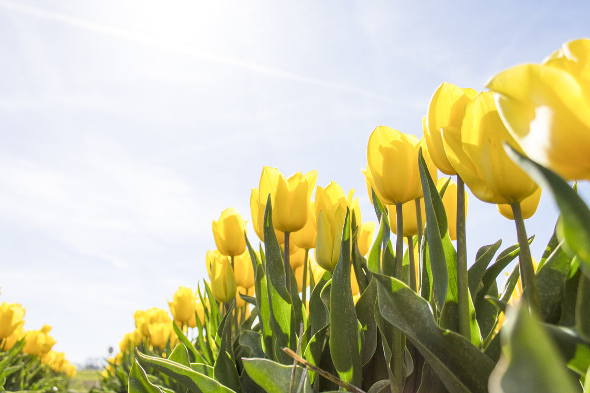 Ways to welcome warmer weather